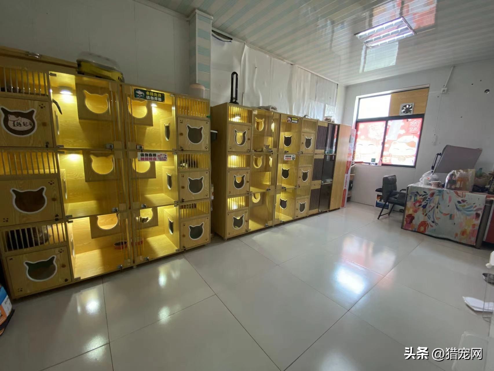 Look here!There are treasures here, turn to the doublestorey pet store