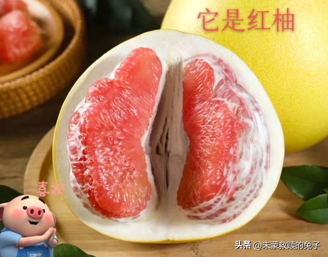 As the saying goes, "Eating pomelo in autumn is better than eating meat" iNEWS