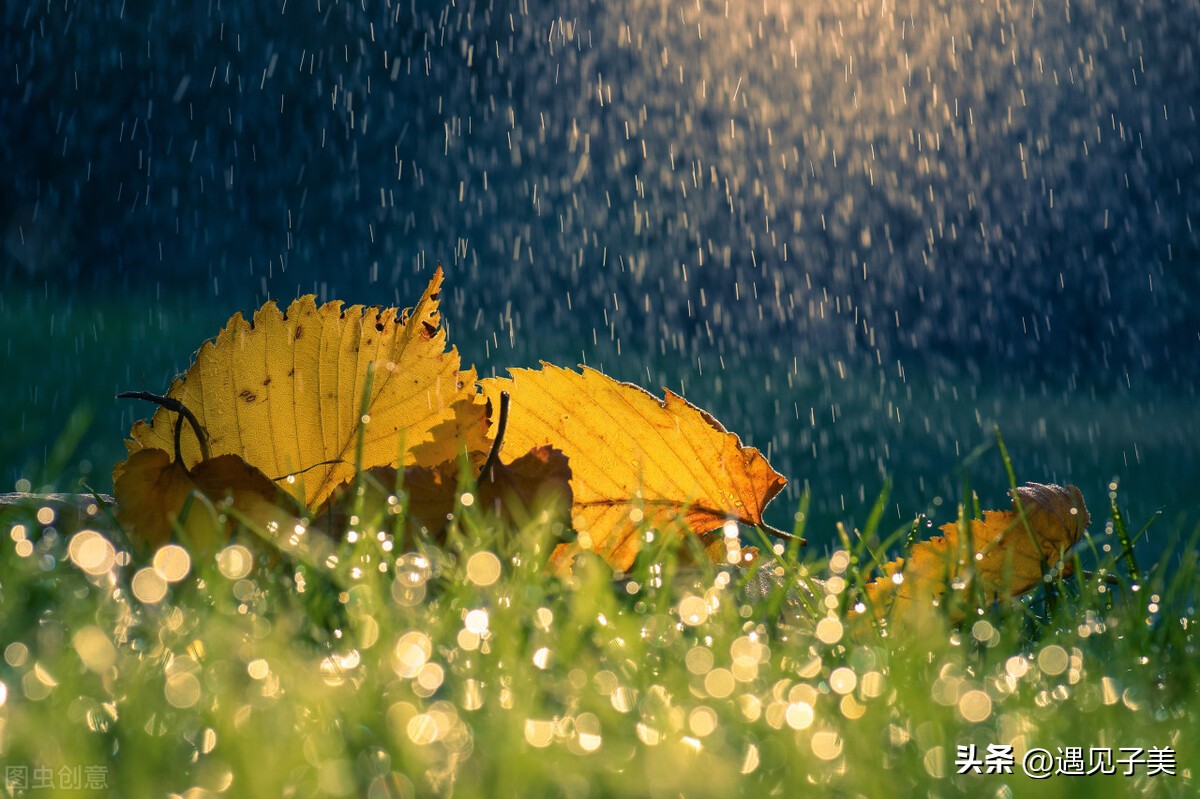 散文:秋雨,時光中平仄出的詩句 - 資訊咖