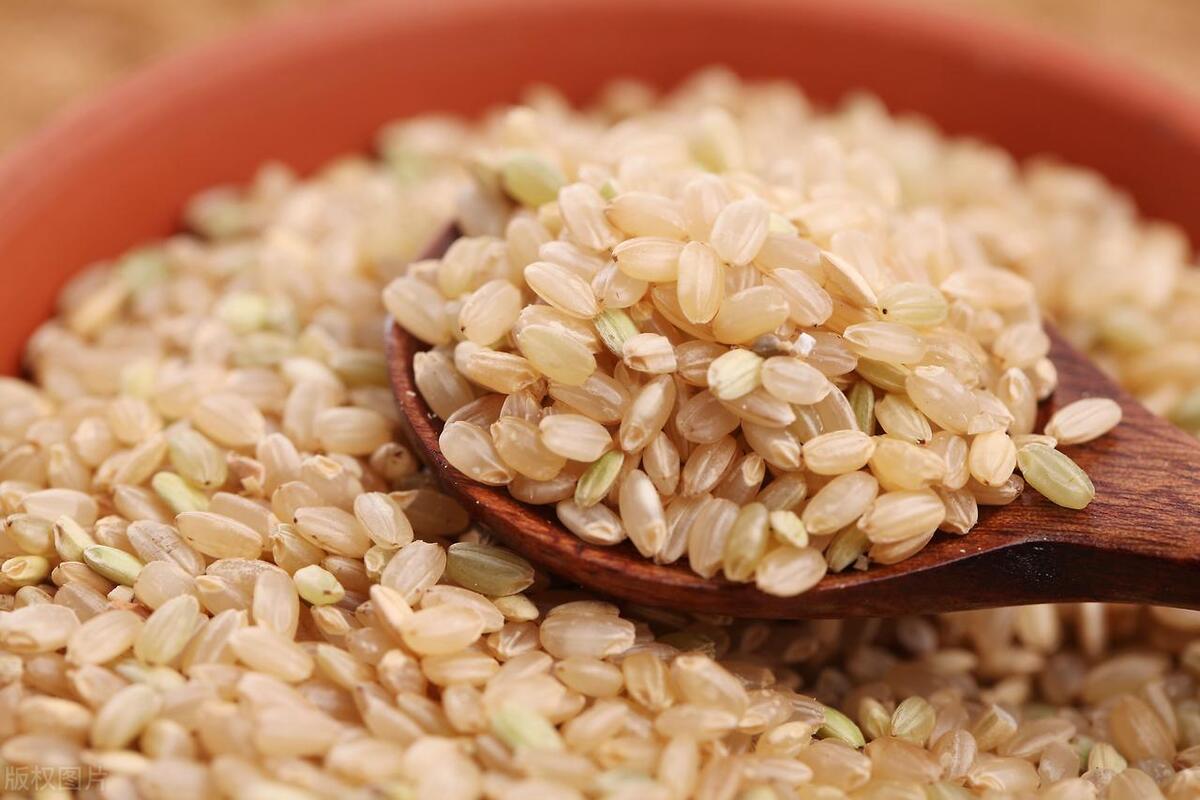 The nutritional value of brown rice is beyond your imagination! - iNEWS