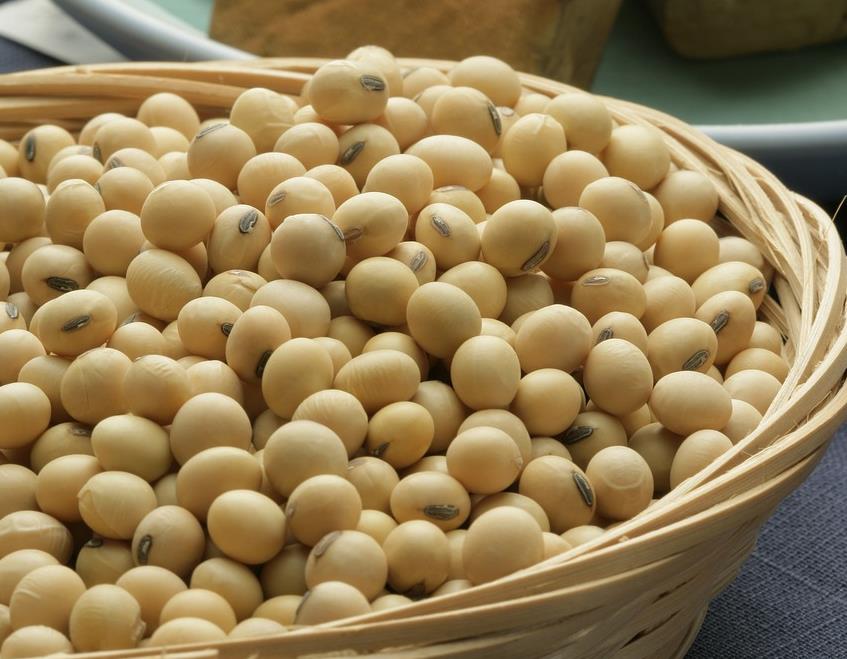 Are soybeans and edamame the same thing? iMedia
