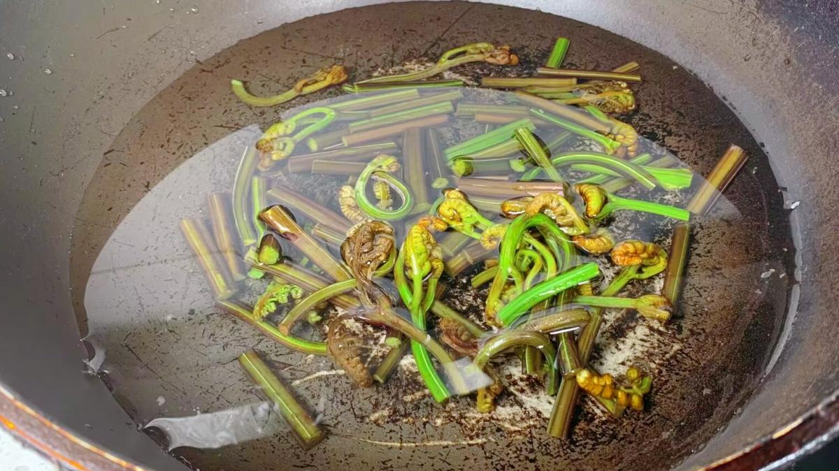 The "longevity dish" turned out to be it. It is better than 10