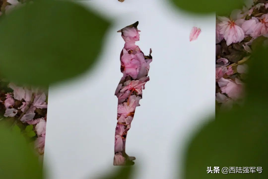 The spring scene of the military camp, if you miss it, you will have to ...