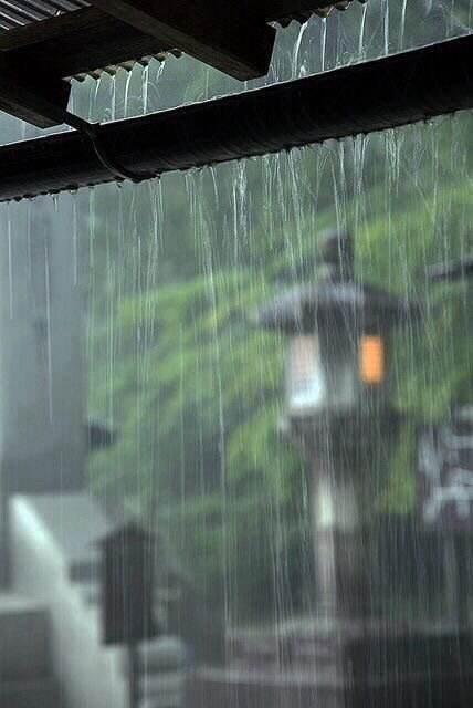 spring rain - iMedia