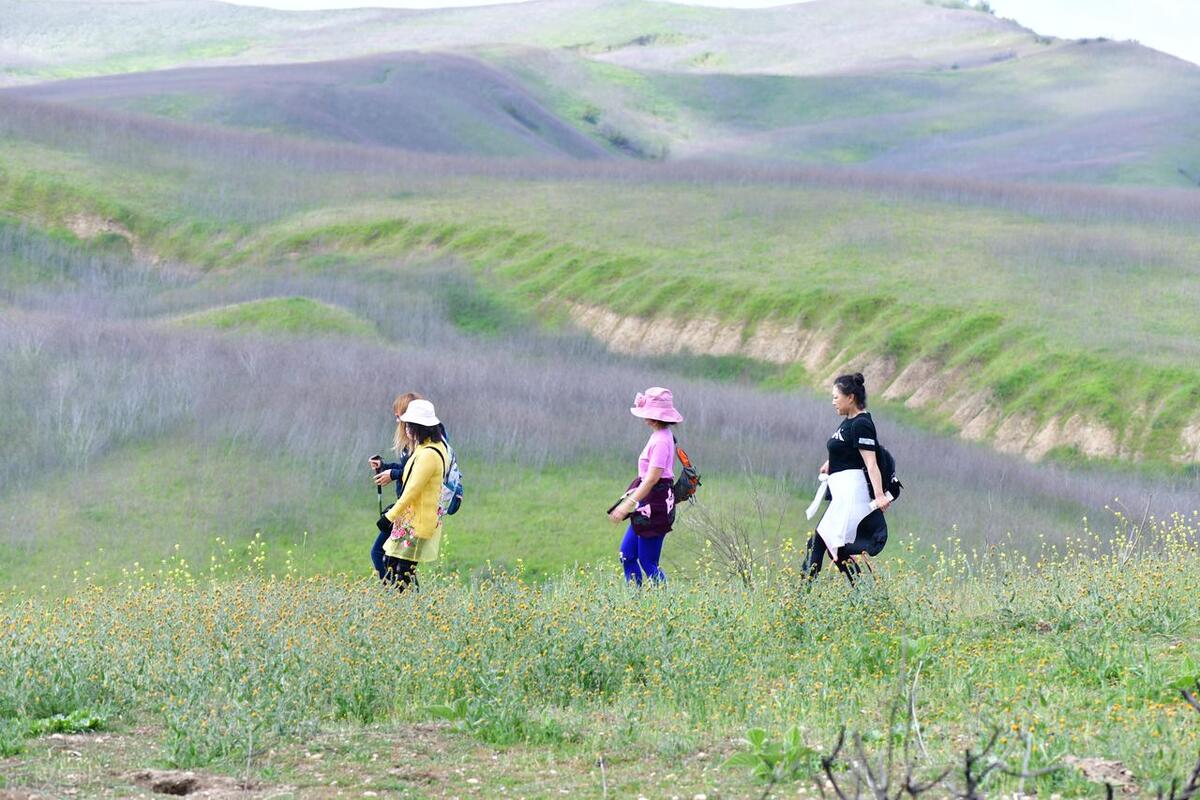 Spring health care should prevent 