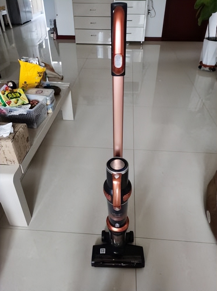 Top ten brands of household vacuum cleaners, top ten brands of