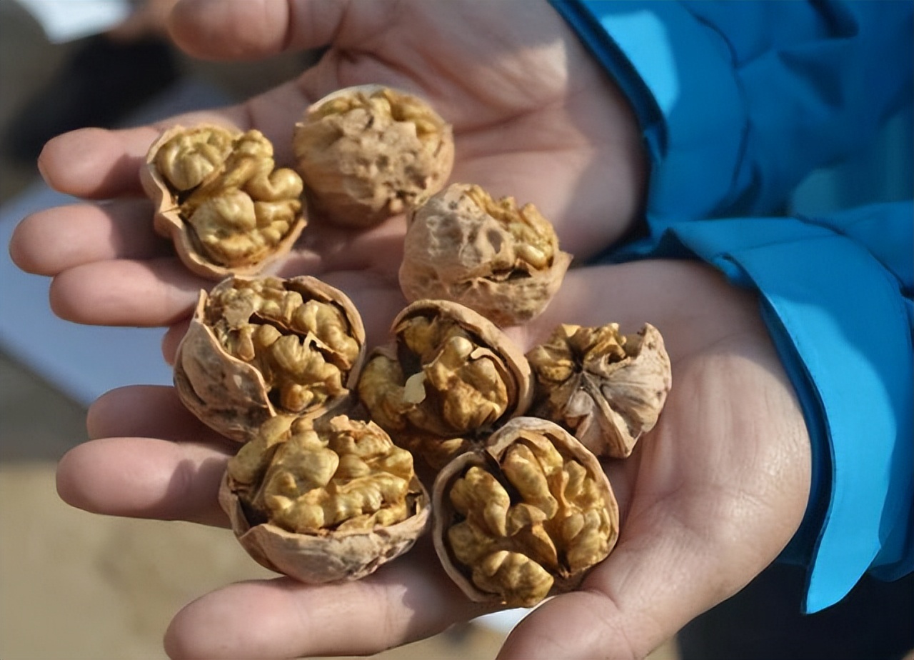 What are the benefits of walnuts in addition to the brainboosting