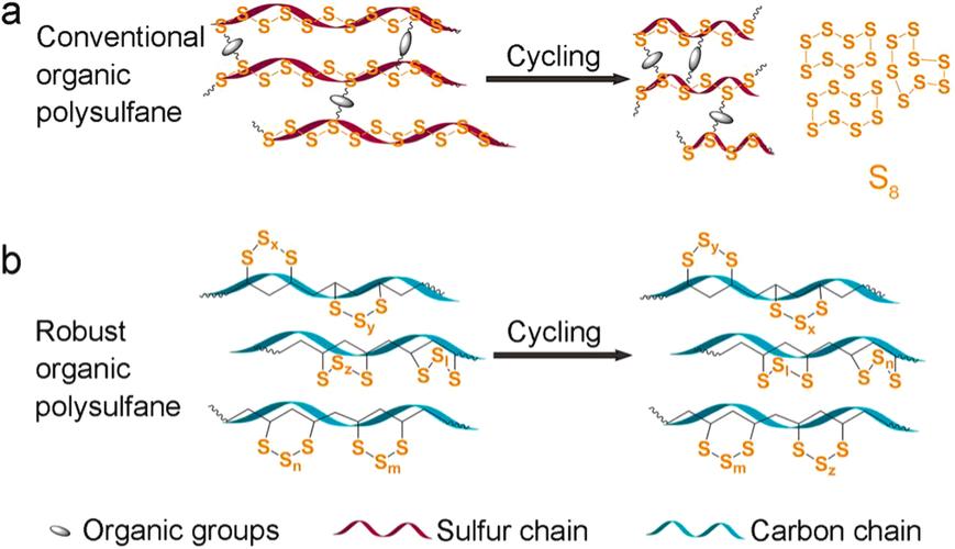 In RAFT polymer nanoengineering, what features are exhibited in the ...