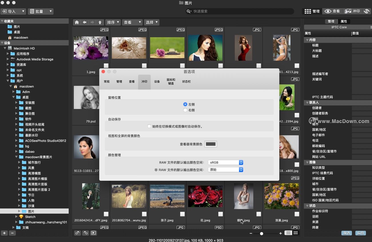 Image Processing Studio