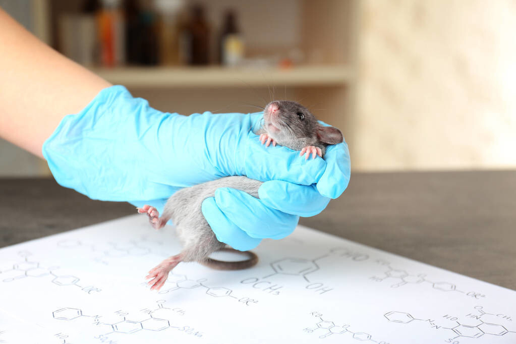 Mice are hateful, why can't humans live without them? What would happen