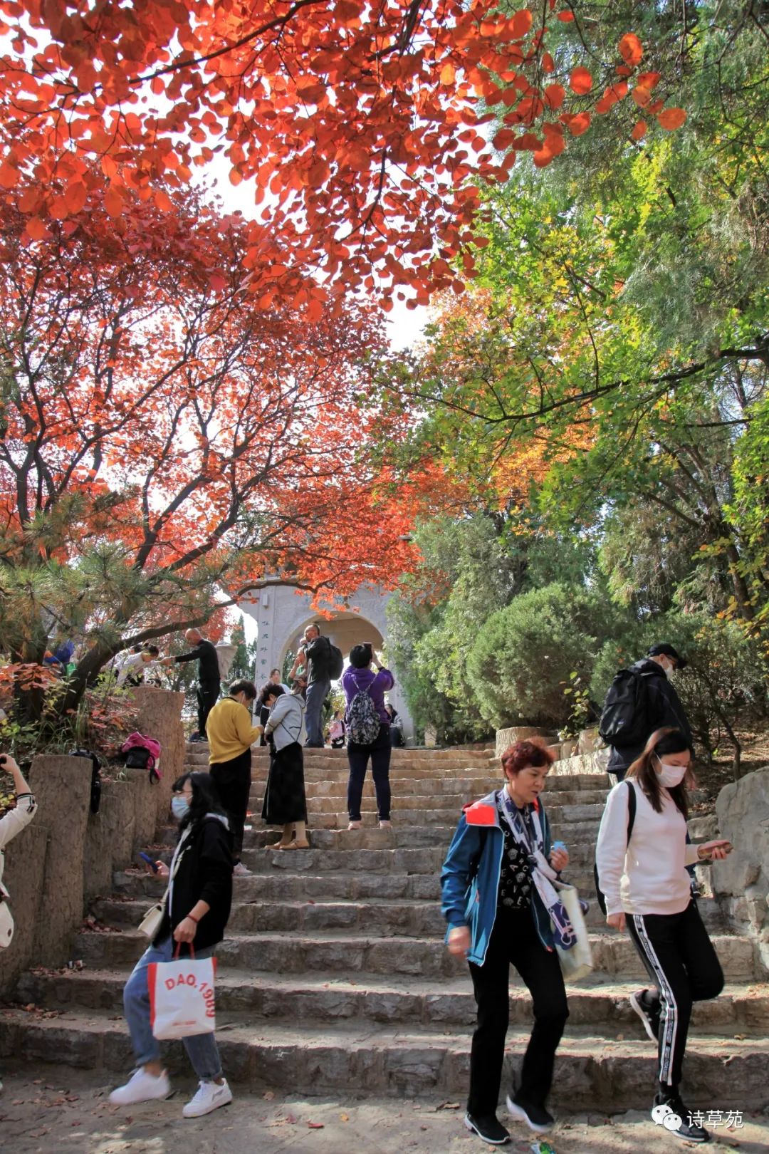 Feng Rusong Revisiting Hongye Valley Feelings - iNEWS