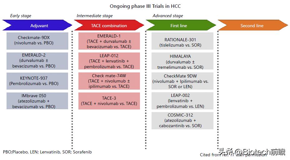 A new standard of systemic therapy for intermediate-stage ...