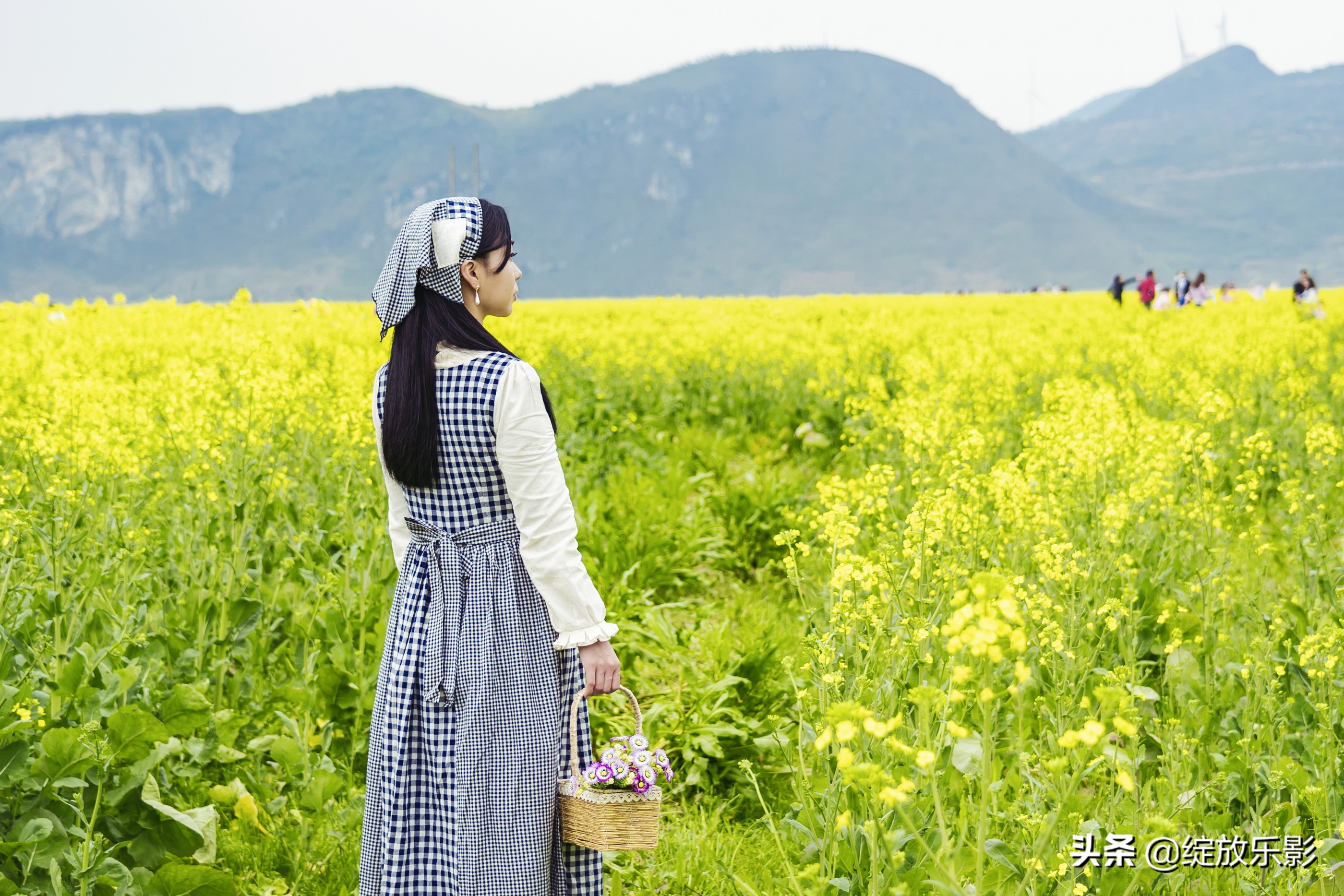 三月花簇簇 平和村油菜花开了 资讯咖