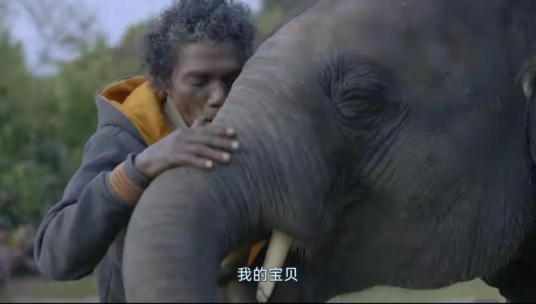 Elephante Ragu 2023 The 95th Academy Awards Best Documentary Short