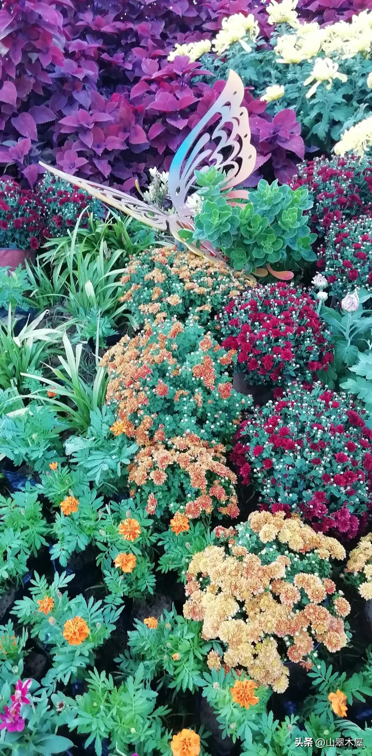 imperial garden iNEWS