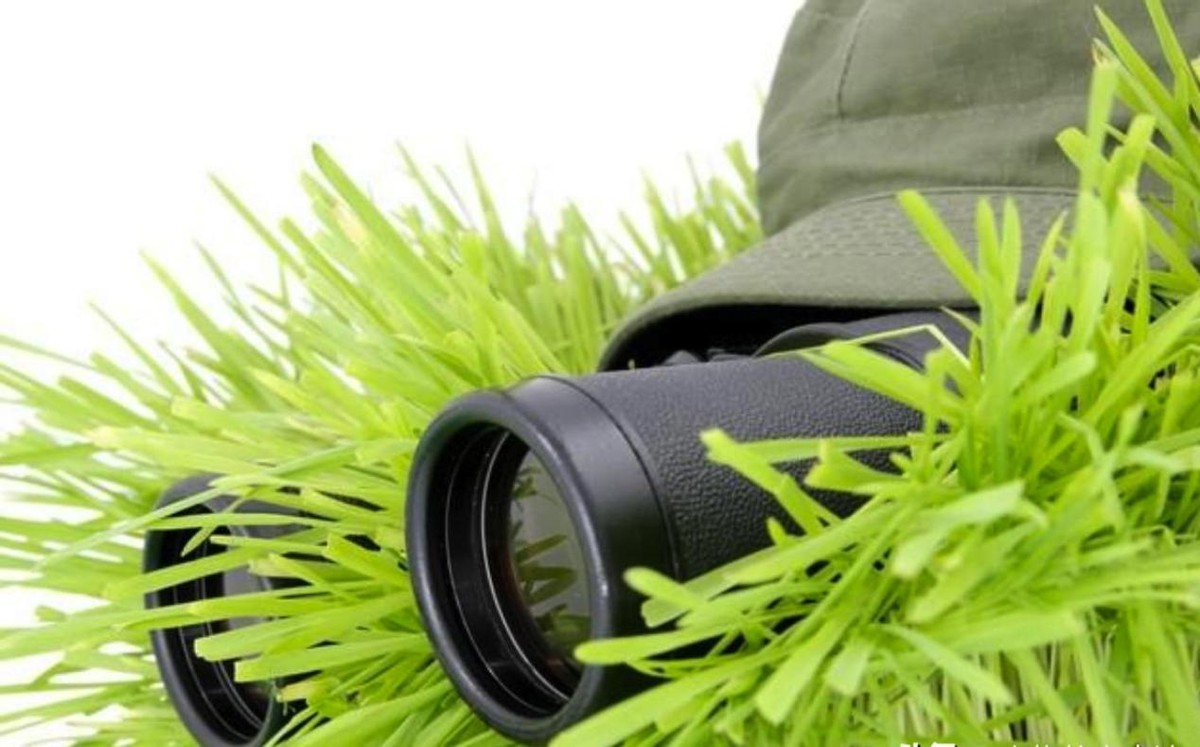In order to kill the Vietnamese sniper, a soldier lay in a puddle for ...