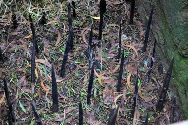 Inventory of war traps on the battlefield - iNEWS