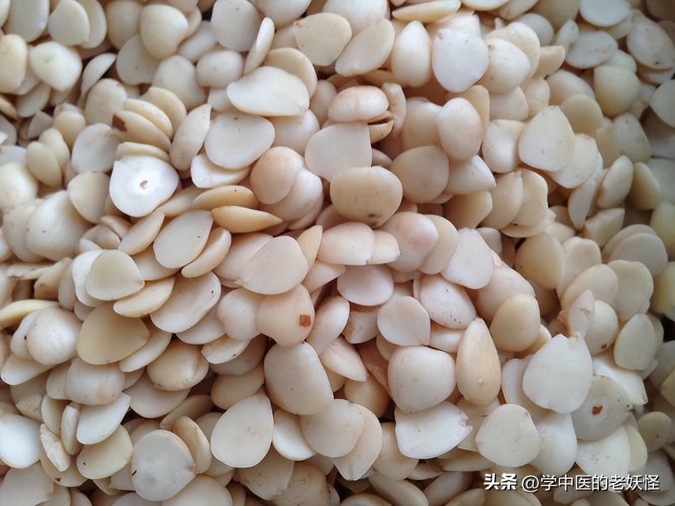 The key medicine for relieving cough and asthma bitter almond iNEWS