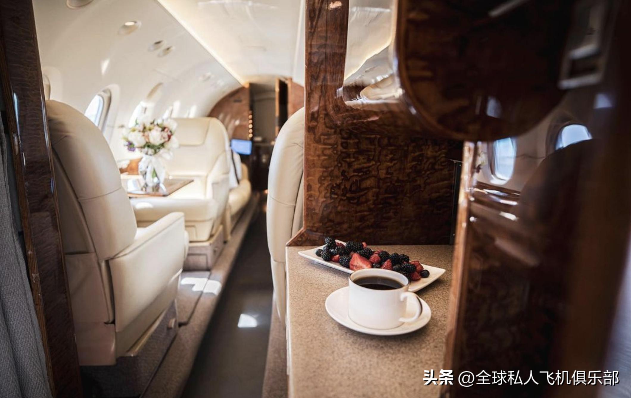 What Do Business Bigwigs Just Need To Fly In A Business Jet? - INEWS