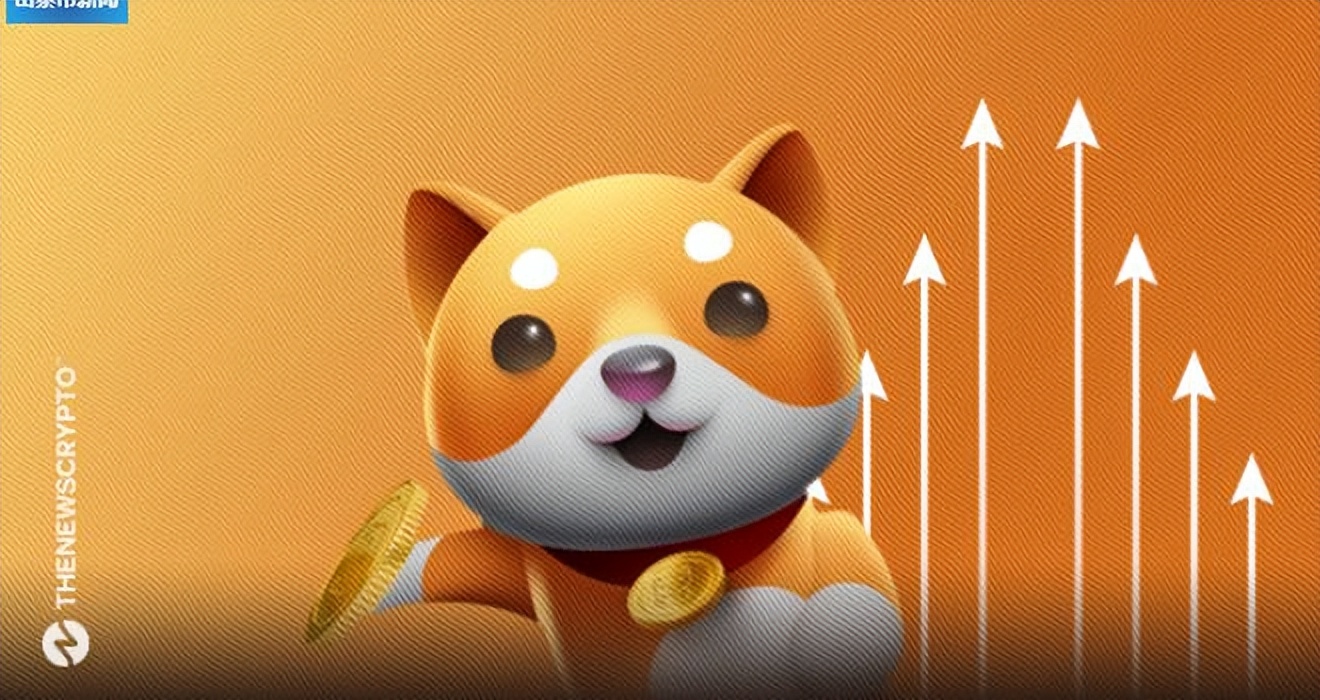 Baby Doge Coin responds to why Ethereum is better than the BNB chain