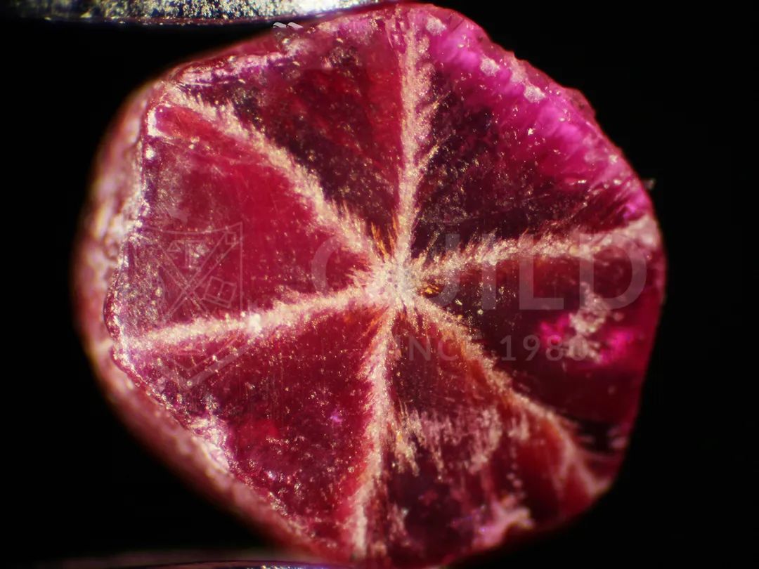 Grading Star Ruby GUILD Ruby Identification and Grading Report - iNEWS