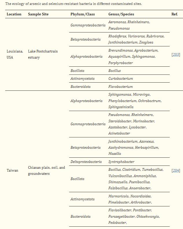 Symbiosis in microbial consortia: a new strategy to improve the ...