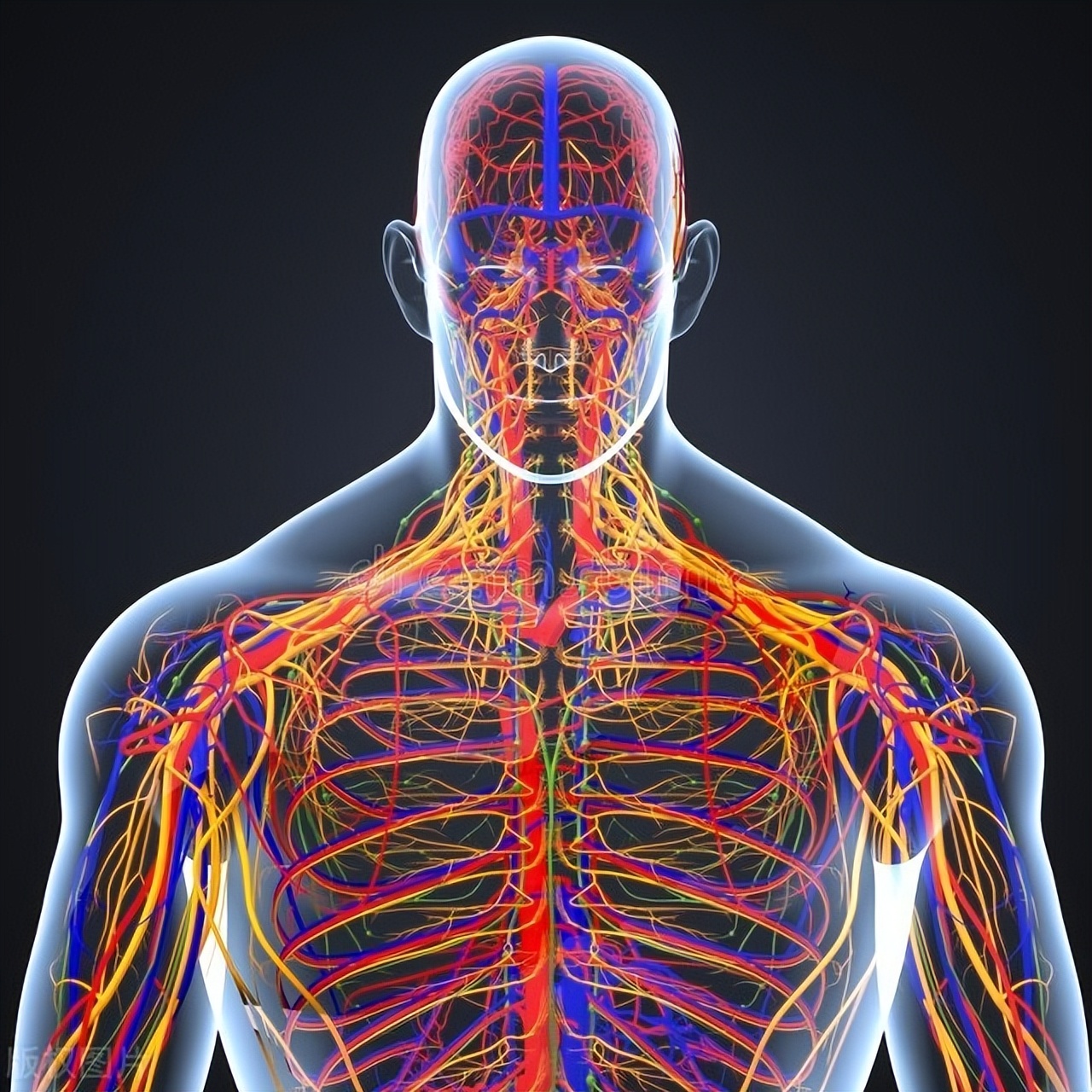 Are you always dizzy, tired, chest tight and short of breath? This is ...
