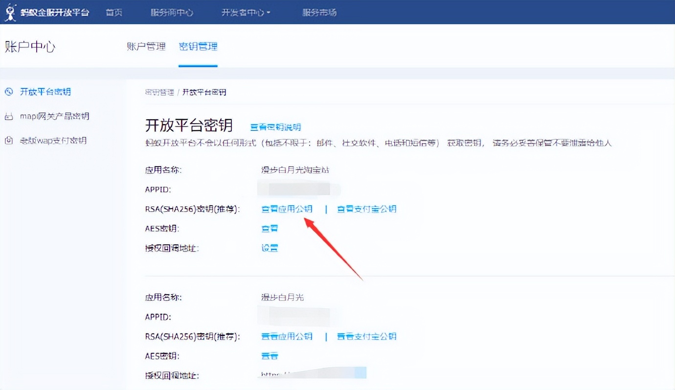 eyoucms Alipay public key private key APPID configuration method - iMedia