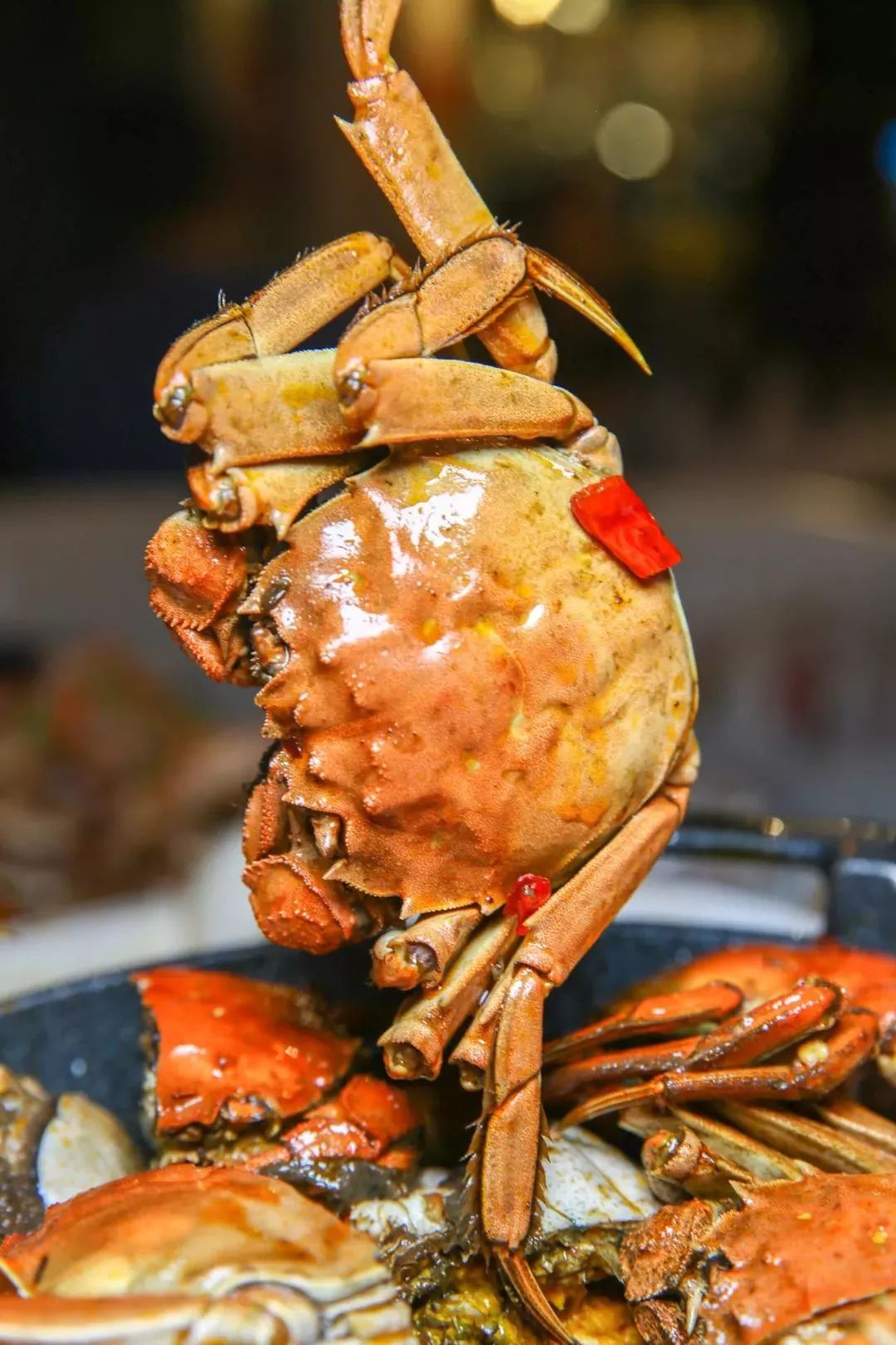 The soul of Sichuan people!The first bite of hairy crabs in autumn, I