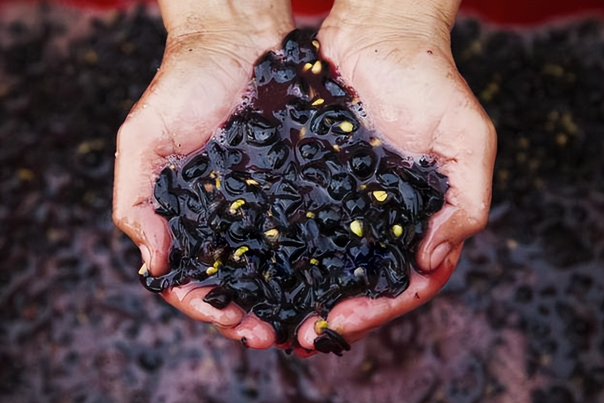 Learn to make wine at home, which is more delicious than bought