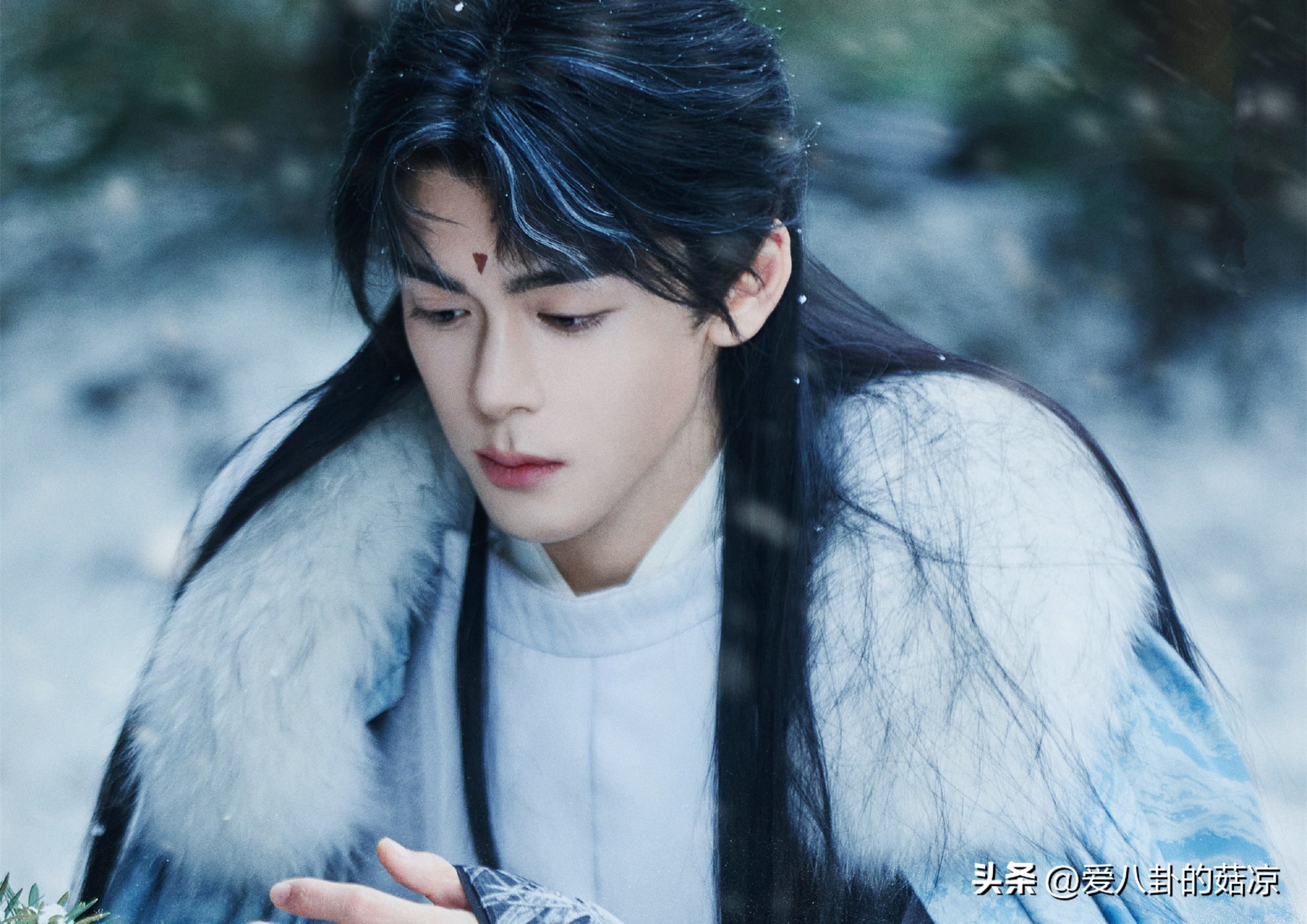 "Lotus House" is still on the air, and Zeng Shunxi has four new dramas