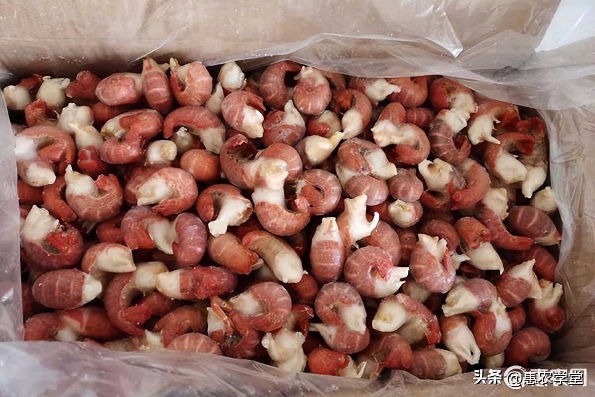 How much is a catty of fresh crayfish tails? iNEWS