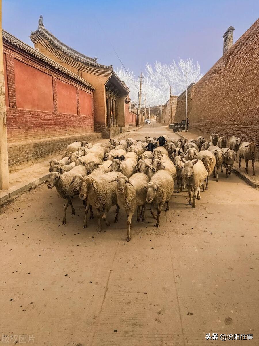 Memories of Fenyang - the summer of childhood - iNEWS
