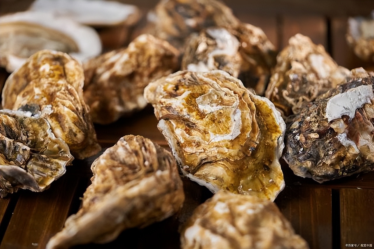What are oysters?Are oysters hairy?What are the nutritional values of oysters iNEWS