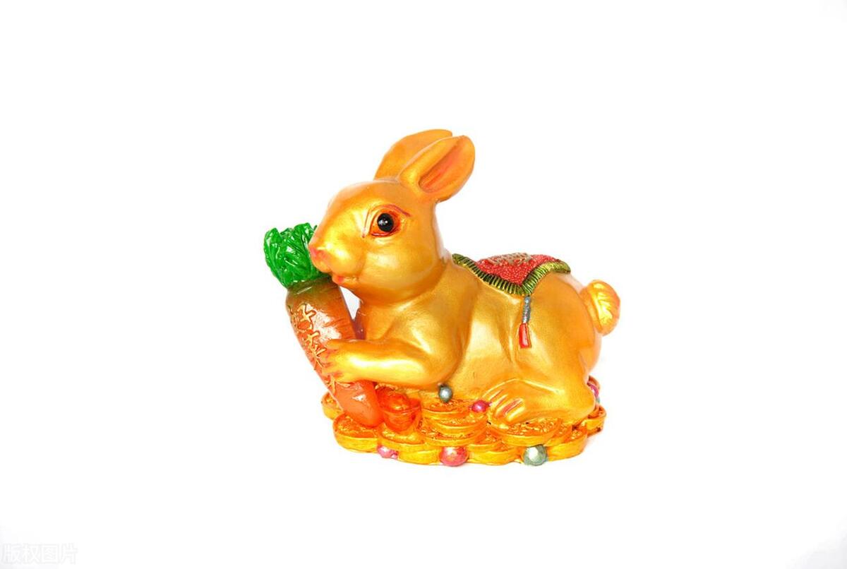 Friends whose zodiac is a rabbit, take a look, you who belong to the ...