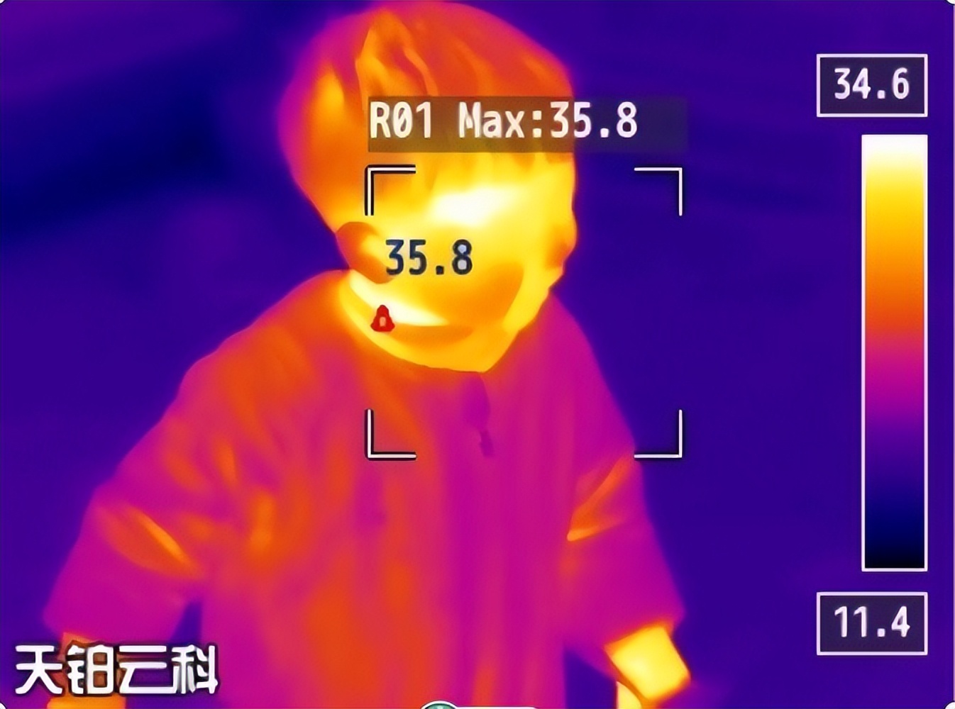 Research on Compensation Algorithm of Infrared Temperature Measurement ...