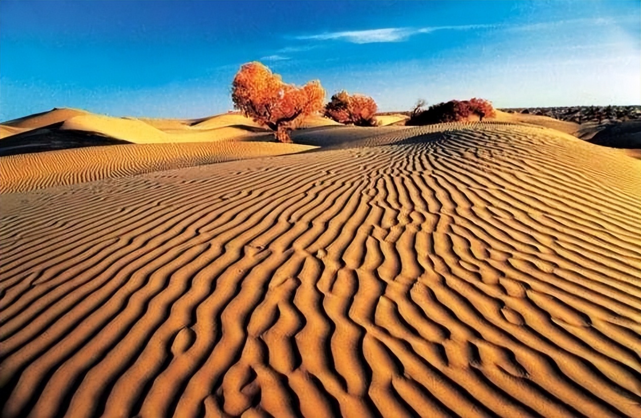 The emergence of lakes in the Taklimakan Desert is a natural warning or ...