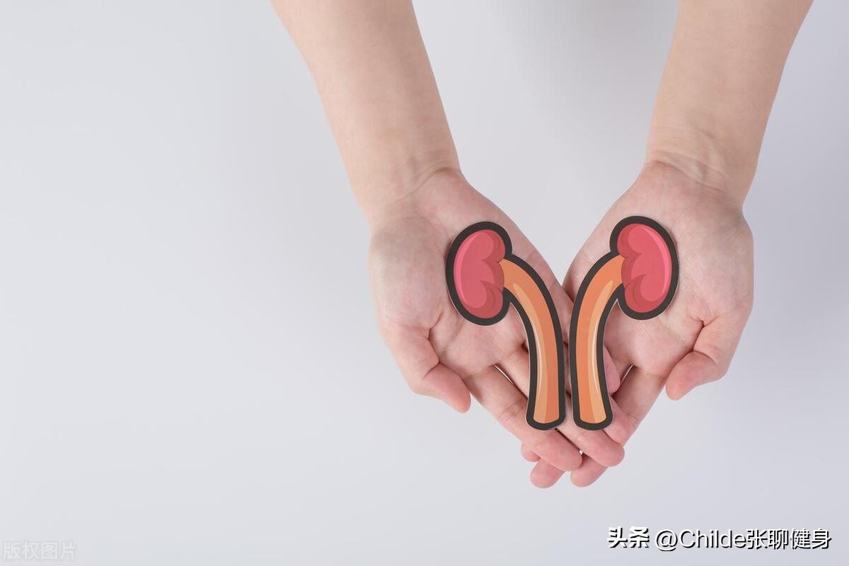 KidneyStrengthening Exercise How to Protect Your Kidneys the Simple Way iMedia