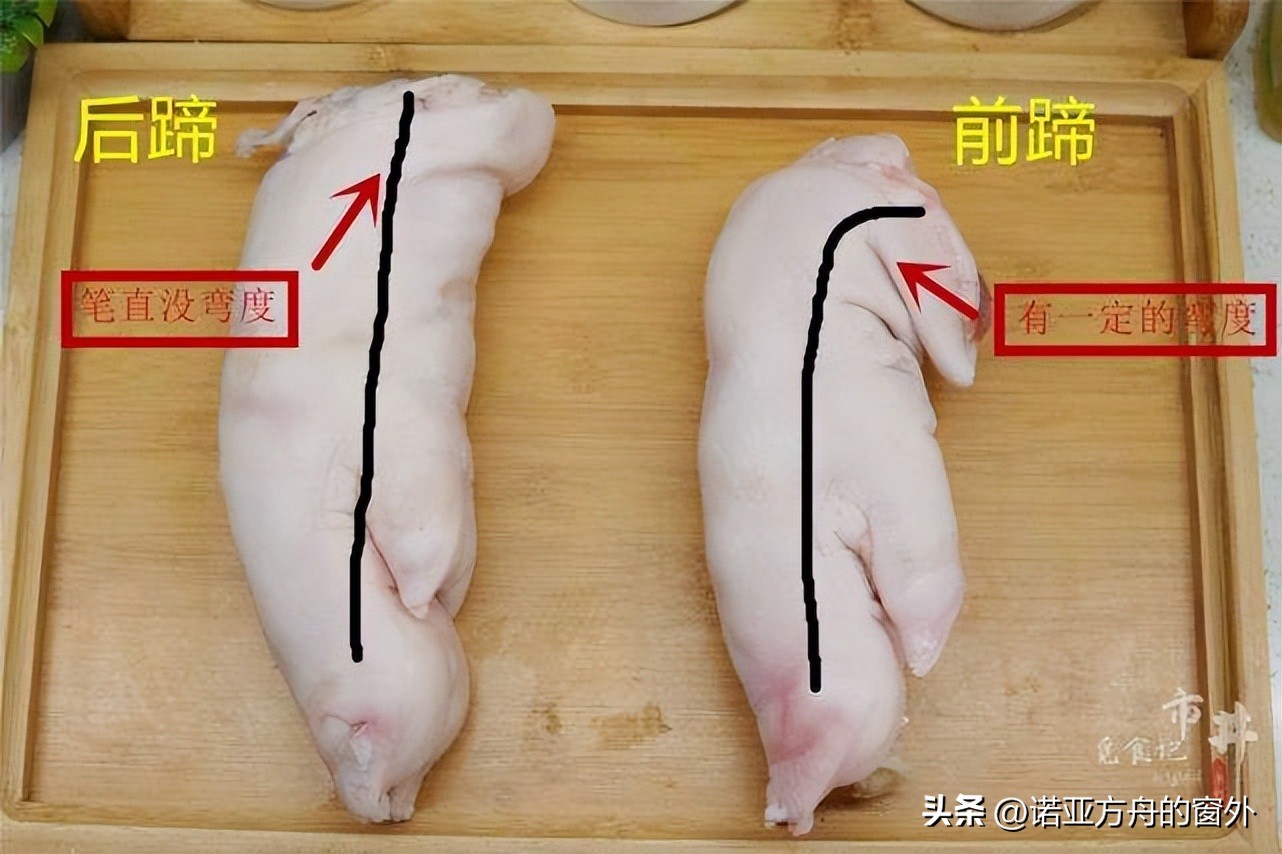 How do you tell the difference between a pig's front and back feet? iNEWS
