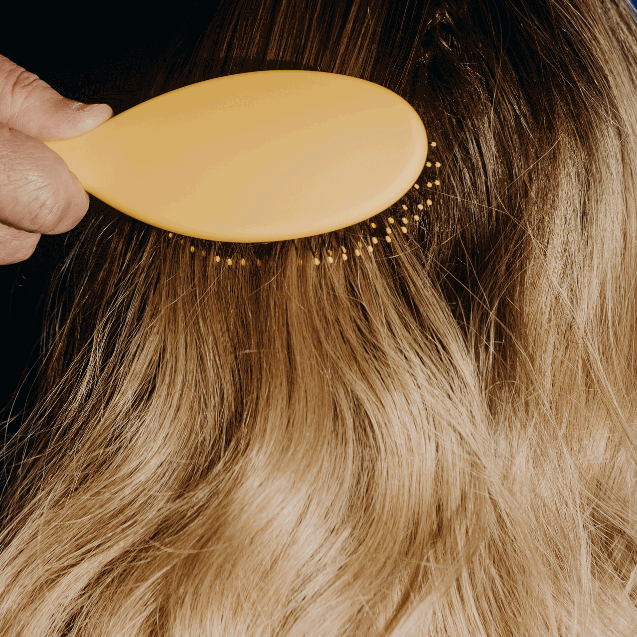 Scientists at Harvard teach you to brush your hair: the most painless way  to comb tangled hair - iNEWS
