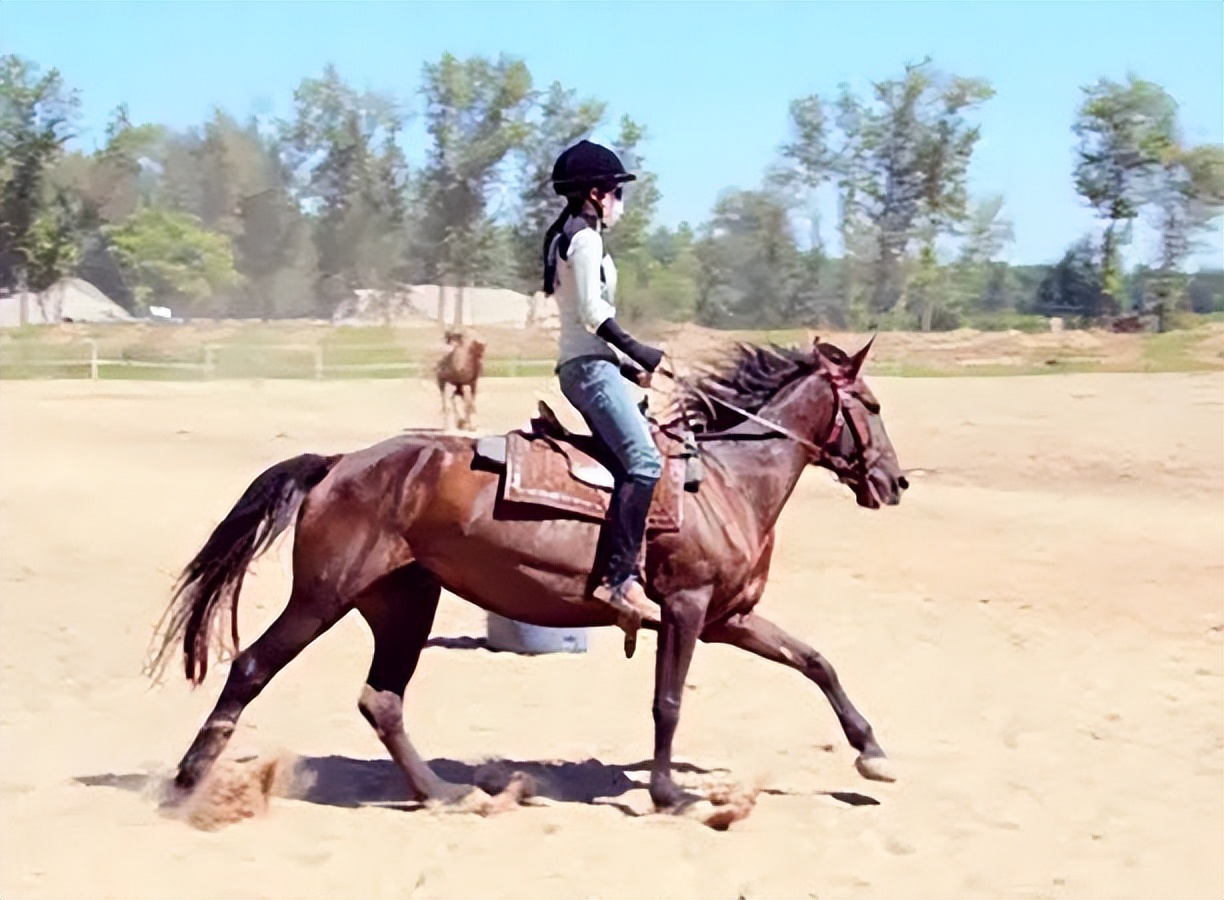 After Song Zuer's horse riding became popular, Li Yitong's riding