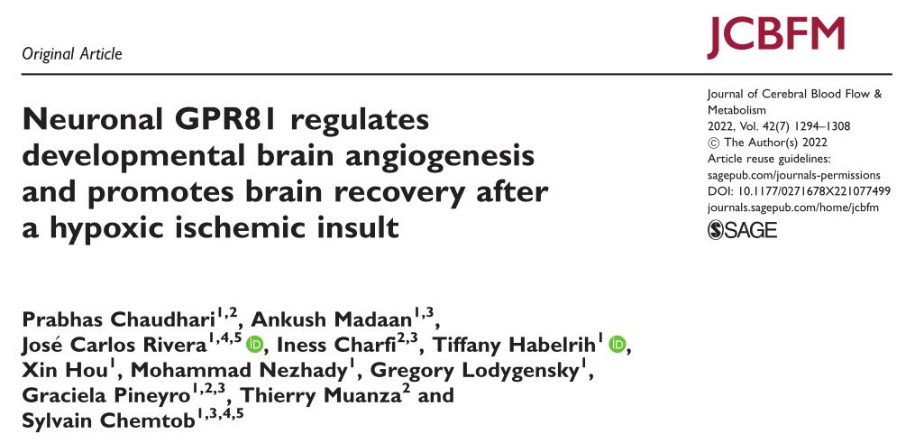 is-it-possible-to-recover-after-neonatal-hypoxic-ischemic-brain-injury