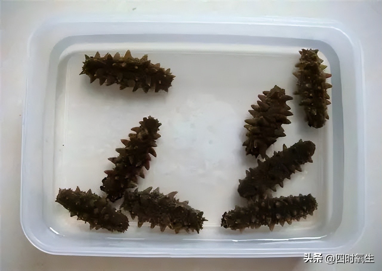 It is not difficult to teach you how to soak sea cucumber with pictures