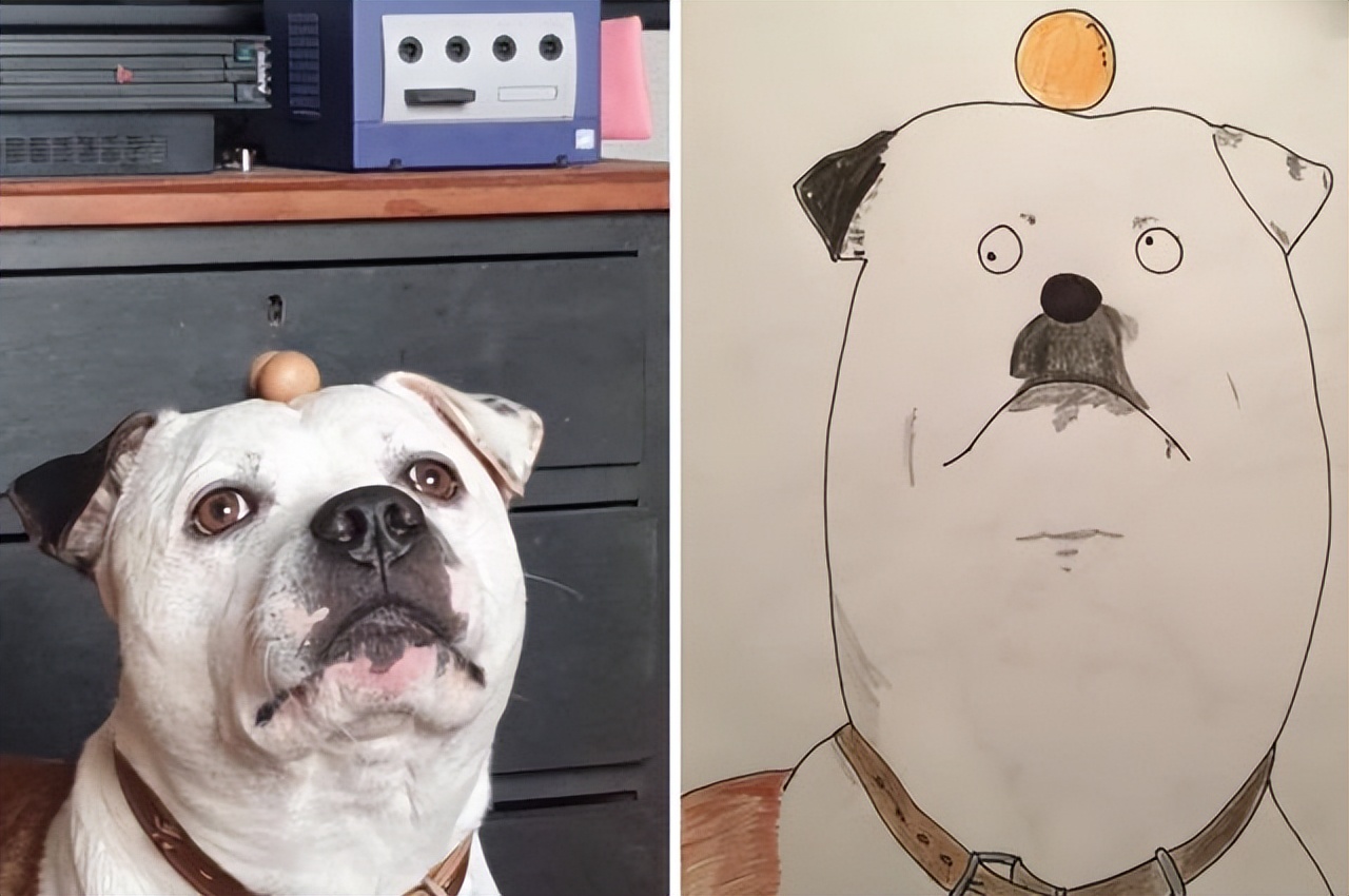 搞笑塗鴉讓他成網紅，為無家可歸者籌集不少錢，作品供不應求