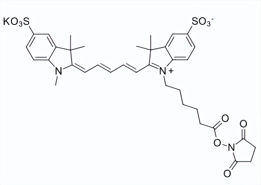 Introduction to Sulfo-Cyanine5 NHS ester, Sulfo-Cy5 NHS ester - iMedia