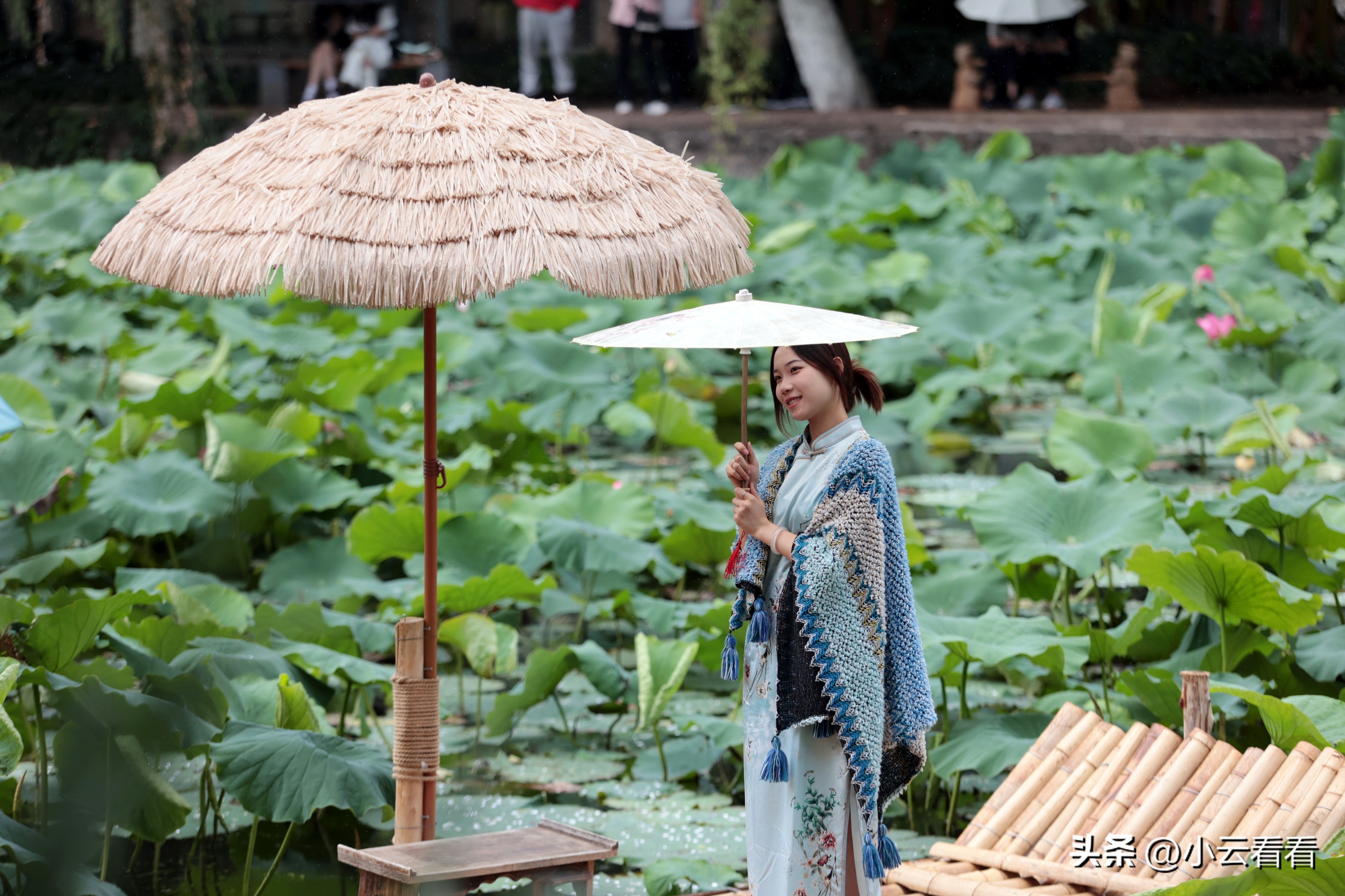 Cuihu Park in Kunming City: During the Dragon Boat Festival, the lotus ...