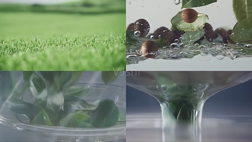 Extraction method of natural plant essence - iNEWS