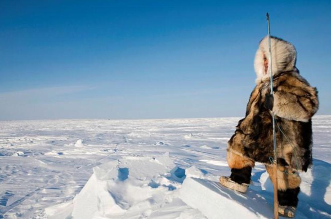 Inuit eat raw meat almost all their lives, why?Genetic variation or ...