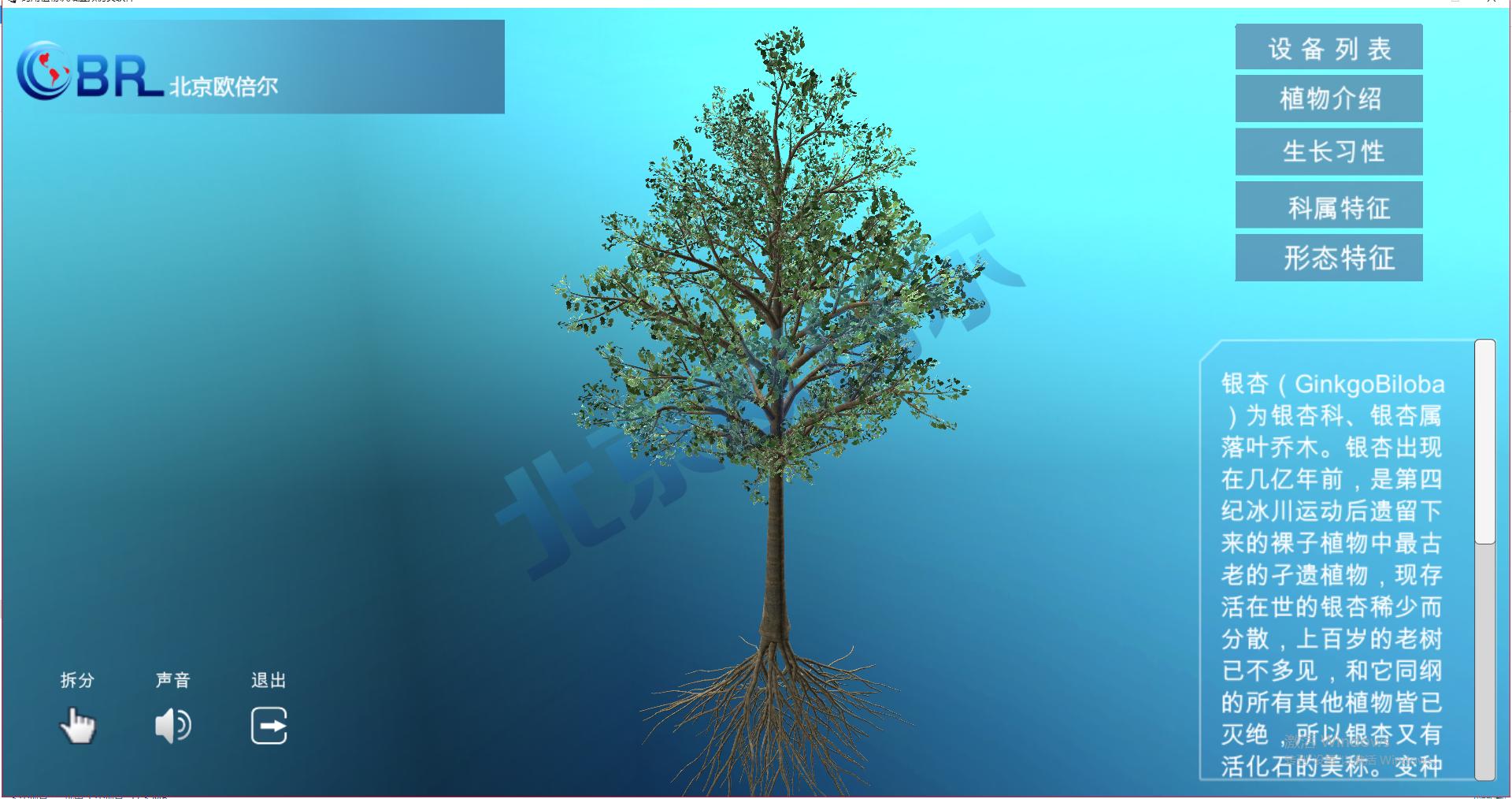 Virtual Plant Simulation How to master the knowledge points of medicinal plants? Medicinal plant ...