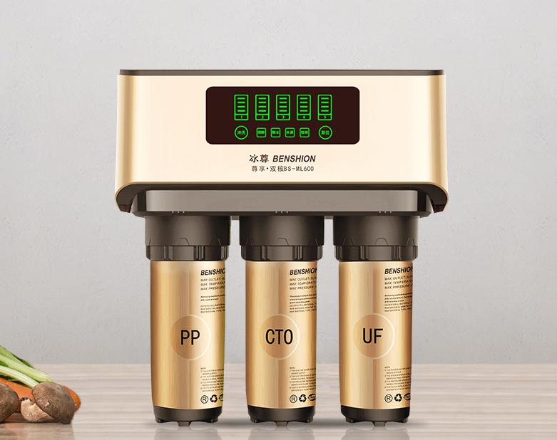 The top five of the top ten brands of direct drinking water purifiers